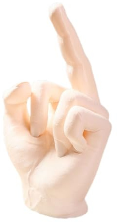 Cache-Attelage Humoristique – Design Original avec Un Geste De La Main, Protection Humoristique pour Boule D'attelage, Cadeau Unique pour Les Amis Et La Famille