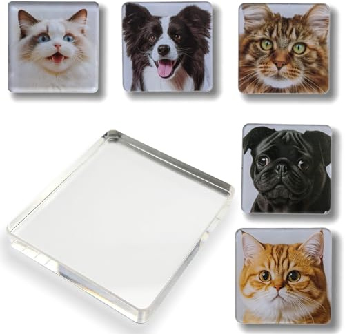 18 Stück Set zum Magnete Basteln & Selbst Gestalten – Klare 5x5 cm Fotomagnete Kühlschrankmagnete aus Acryl mit Kleberücken & Ferrit-Magneten für DIY-Deko (Küche, Büro, Schule)