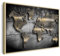 B&D XXL Bilder mit Rahmen 60x40 cm Wandbilder groß Leinwandbild XXL schwarzer Holzrahmen modern Wanddekoration Kunstdruck Wanddeko Wohnzimmer Schlafzimmer Weltkarte Abstrakte Landkarte Schwarz