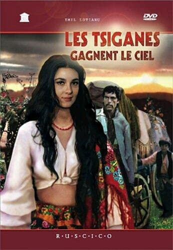 Les Tsiganes gagnent le ciel [FR Import]
