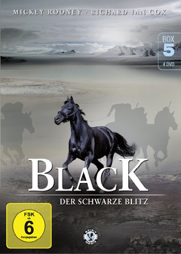 Black - Der schwarze Blitz 5 [4 DVDs]