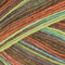 Step 150g 6-fädig Color Sockenwolle Austermann