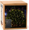 Gartenpirat Batterie-Lichternetz 2 x 2 m 160 warmweiße LEDs mit Timer - Innen & Außen - ganzjährig nutzbar - Deko für Garten Balkon Schlafzimmer & Party