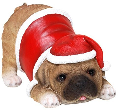 Unbekannt Weihnachts Mops auffordernd