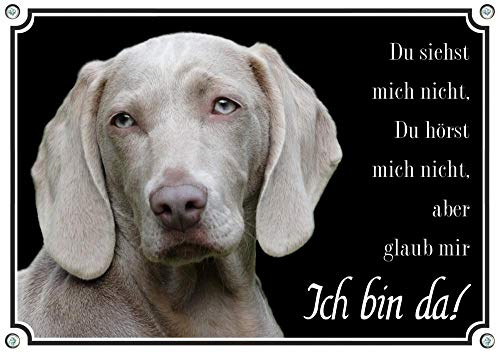 Petsigns Weimaraner - Hundeschild - Warnschild aus Metall - uv-beständig, DIN A4