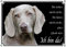 Petsigns Weimaraner - Hundeschild - Warnschild aus Metall - uv-beständig, DIN A4