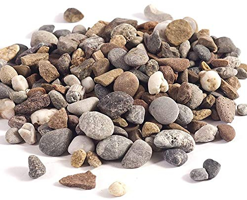 hagebauSPN 25Kg Buntkies 8-16mm