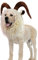 Lustiges Rentier-Kostüm für Hunde, niedliche pelzige Haustierperücke für Halloween, Weihnachten, Haustier-Kleidung, Zubehör (M, Ziege)