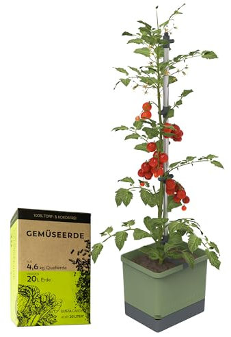 GUSTA GARDEN Tom Tomato Tomatentopf Dunkelgrün - Pflanzentopf mit Rankhilfe, Bewässerungssystem & Befestigungshaken - Set inkl. 20L Erde - 4,5L Wassertank & 20L Erdvolumen (dunkelgrün, mit Erde)