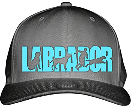 siviwonder Cap Labrador Jadghund Retriever Jäger Wasser Labby Hundesport HS Baumwoll Verstellbare 5 Panel Kappe Basecap Baseball Einheitsgröße Metallverschluss Hund Hundemotiv Dark Grey türkis