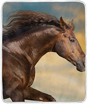 WowPrint Tier Pferd Überwurf Decke Kristall Samt Weiche Mikrofaser 127 x 152 cm Home Dekorative Geschenk Decke für Bett Stuhl und Couch