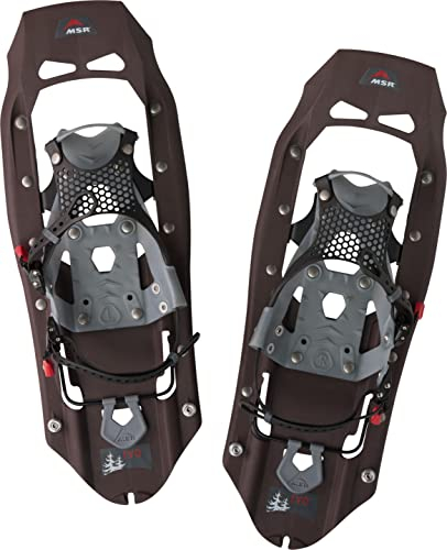 MSR Evo Trail Länge56 cm (22 in) iron