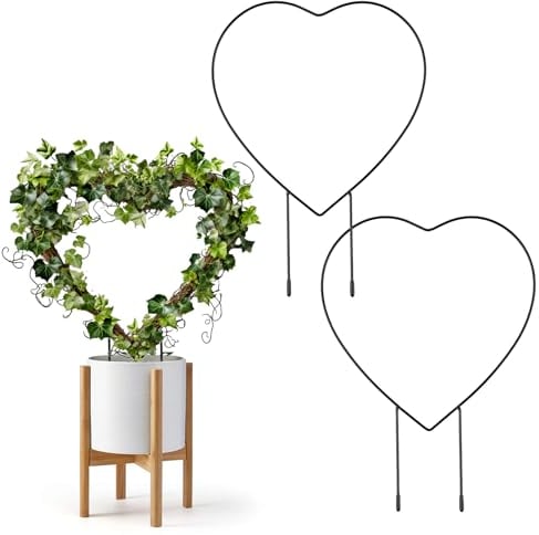 2 pezzi Supporto per piante rampicanti a forma di cuore, supporto per piante rampicanti in vaso da fiori supporto per piante rampicanti in metallo supporto per piante da interno per piante rampicanti