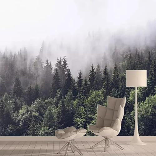 MIXUEXUNLU Photo papier peint 3d brouillard paysage mural salon tv canapé chambre art abstrait papier peint art mural