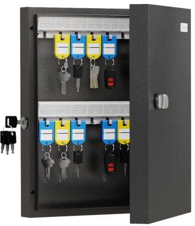 WeHere Schlüsselkasten mit 32 Schlüsseln, Doppelschloss, Kombination & Schlüsselentriegelung, Schlüsselschrank Wandhalterung mit Schlüsseletikett, Schlüsselhalter Aufbewahrung Lockbox für Geschäft,