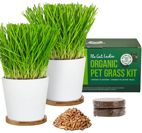 The Cat Ladies Katzengras Kit (Bio) mit 2 Keramik Pflanzgefäßen - Saatgut und Erde - Für Katzen Hunde und andere Haustiere - Katzengras Samen mit Töpfen - Cat Grass