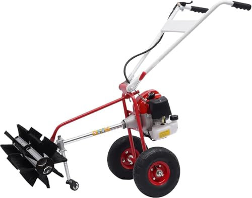 Handkehrmaschine, Kehrmaschine Manuell Draußen 1.7 PS Benzin Kehrmaschine Kehrbesen Motorbesen Wildkrautbürste Unkraut Entferner, mit Ersatzstreifenbürste, Schwarz und Weiß