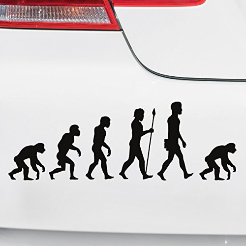 Motoking Autoaufkleber - Lustige Sprüche & Motive für Ihr Auto - Evolution AFFE - 25 x 8,6 cm - Schwarz Glänzend
