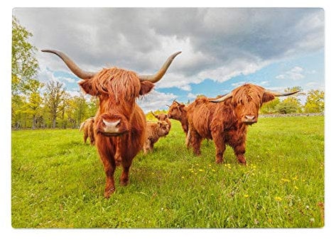 Cow Landscape Green Blue Kitchen Worktop Protector Saver Glass Chopping Board