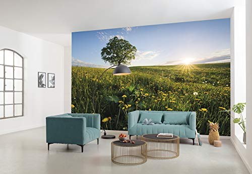 Komar Vlies Fototapete FRÜHLING AUF DEM LAND | Tapete, XXL, Dekoration, Natur, Landschaft, Schlafzimmer, Wohnzimmer, Büro, Flur | Größe 450 x 280 cm (Breite x Höhe) | SHX9-034