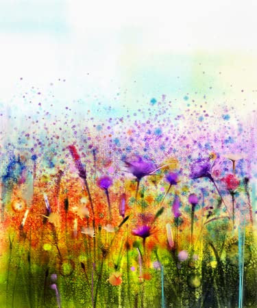 adrium Acryl-Bild 30 x 40 cm: Abstrakte Aquarellmalerei lila Kosmosblume, Kornblume, violetter Lavendel, weiße und orangefarbene Wildblumen. Wilde Blumenwiese(59852139)