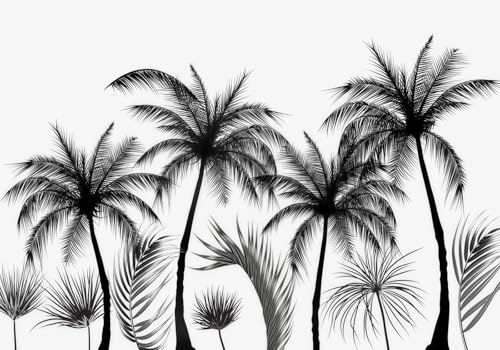 gdkldfg Papier Peint Panoramique Intissé 200cmx140cm Forêt en noir et blanc paysage naturel tropical,Decoration Chambre/Salon,Tapisserie,Poster Murales