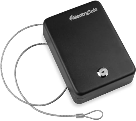 SentrySafe P005K Mini coffre-fort avec serrure à clé pour le bureau ou le dortoir, pour sécuriser l'argent, les passeports ou autres petits objets de valeur, extérieur 6,6 x 15,9 x 20,3 cm