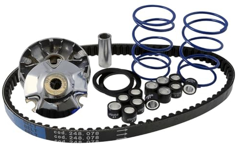 POLINI Variatorkit HI-Speed für Piaggio lang (Variator, Keilriemen, 2 Gegendruckfedern, 2 Satz Gewichte)