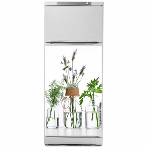 Kiwistar - Film pour réfrigérateur - 150 x 80 cm - De nombreuses herbes dans le verre - Verre laminé résistant aux rayures - Autocollant pour réfrigérateur - Meubles - Design - Rénovation - Film de