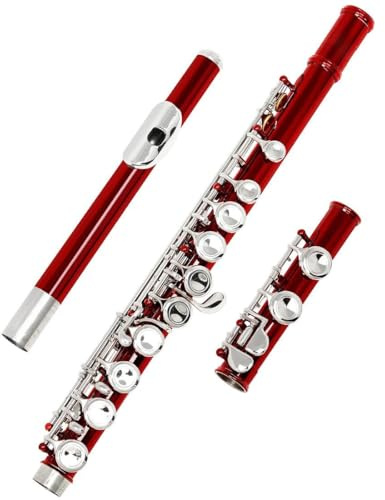 Flöte für Anfänger 16 Geschlossene Offene Löcher C-Taste Professionelles Querflöten-Musikinstrument Mit Box Bunte Stockhandschuhe (Color : Red)