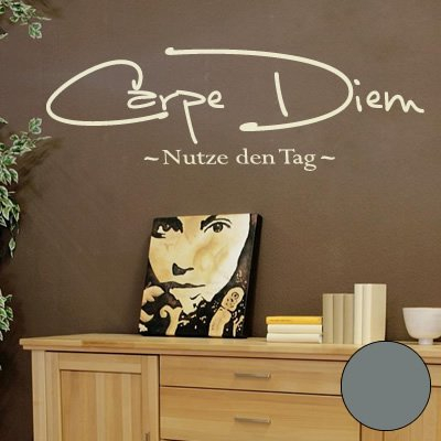 A536 Wandtattoo Carpe Diem 120cm x 37cm grau (erhältlich in 40 Farben und 4 Größen)