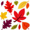 alles-meine.de GmbH Wandsticker Motivwahl Erwachsene & Kinder - 11 TLG. Set - Bunte Herbst Laub Blätter - selbstklebend + wiederverwendbar - Wandtattoo - Aufkleber Wandaufkle..
