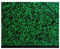 Exacompta - Réf. 542200E - 10 cartons à dessin Annonay - avec élastiques - dos toilé - garde blanche - dimensions 37 x 52 cm - format à classer B3 1/2 Raisin (353 x 500 mm) - couleur vert