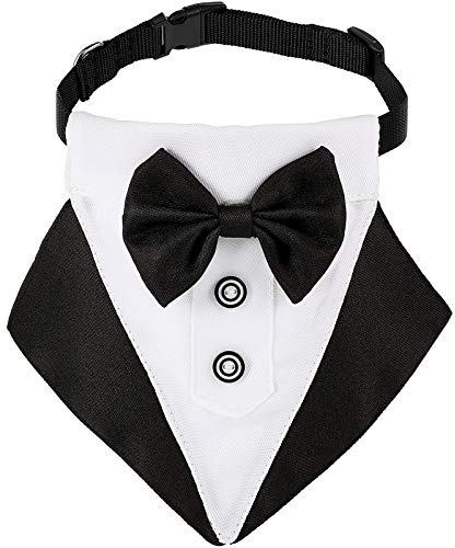 Syhood Formales Hundehalsband mit Fliege und Krawatte Design, Verstellbar, Schwarz, für mittelgroße und große Hunde, mit D-Ring und Schnellverschluss, für formelle und tägliche Nutzung