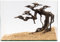 NatureHolic Stone Bonsai Raijin no Mori | Aquarium Deko | Premium Scape für Aquarien | Großer Bonsai-Baum aus Stein | Perfekt für Moos | Ideal für großes Aquarium ab 60 L | 40 x 35 x 15 cm