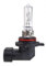 AMiO HIR2 Lampen Autolampen 9012 01125