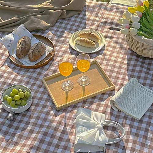 Extra große Picknickdecke, Stranddecke, 203.2x203.2 cm, Picknickmatte, wasserdicht, sanddicht, faltbar, tragbar für Outdoor, Camping, Wandern, Reisen, Graspark, Rasenmatten (braun, 203.2x203.2 cm)