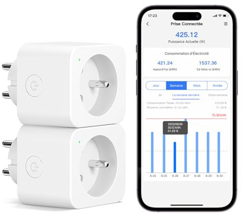 Meross - Toma conectada (FR), 16 A, conector WiFi compatible con Alexa y Google Home, juego de 2 tomas de medición de consumo inteligente con control de voz, control remoto y configuración Bluetooth