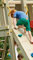 Gartenwelt Riegelsberger Muro de escalada con piedras, rampa para torres de juego y casas de zancos, altura de pedestal, 120 cm, alerce natural
