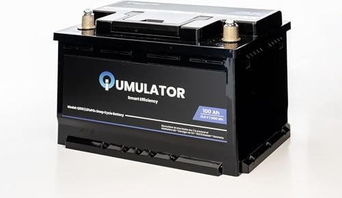 0% MwSt. 100Ah 12V LiFePO4 1280Wh Lithium Deep Cycle Versorgungsbatterie mit BMS, DIN-Größe H6R/LN3R – Ersatz für 160Ah-200Ah AGM/GEL Batterien, ideal für Wohnmobil, Yacht, Camping und Solaranlage