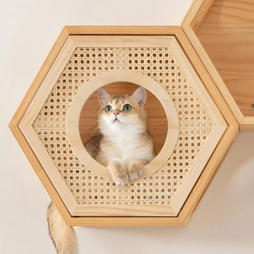 RTTZBOZ Muebles y Estantes de Pared para Gatos, Percha y Escalada Montados en la Pared