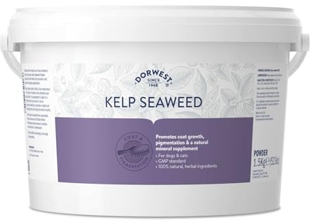 DORWEST HERBS Kelp Seaweed Powder 1.5kg, Natural Powder for Dogs and Cats – Natural Mineral Supplement for Coat Growth and Pigmentation, Brown