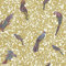 BRICOFLOR Vliestapete | Vogeltapete - Tapete Büro - Beige / Crème, Silber, Violett / Lila | 10,05 x 0,70 m = Rolle 7.04 m²