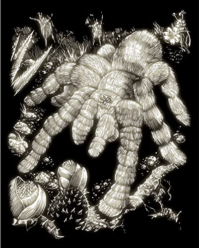 Pracht Creatives Hobby Royal & Langnickel - Kratzbild Tarantel, Glow in The Dark, Kratzbilder für Kinder und Erwachsene, mit Kratzstift und Vorlage