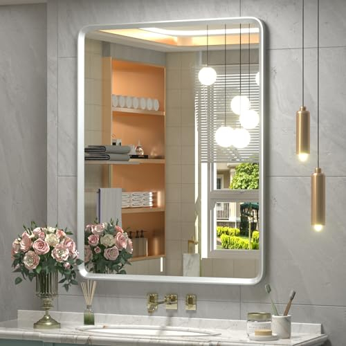 GOLOMO 61 x 81 cm silberner Badezimmerspiegel, gebürstetes Silber, Kosmetikspiegel für Wand, abgerundeter rechteckiger Spiegel mit abgeschrägtem Rand, rostfrei, poliert, bruchsicher