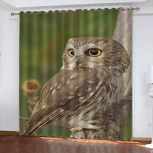3D Vorhänge Wohnzimmer Blickdicht Gardinen 2 X 75 X 166 Cm Tierische Eule Verdunkelungsvorhang Kinderzimmer Thermovorhang Fensterdekoration Polyester Vorhänge Für Schlafzimmer -7M2I0A4S0C5S8Z4J3B9N1W0