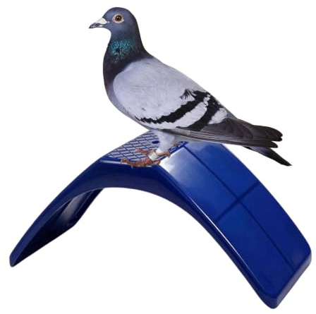 Support Perchoir Debout pour Pigeons Léger, Sécurisé et Confortable