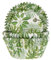 House of Marie 50 Muffinförmchen Blätter | Monstera - Fensterblatt | Palmen | Sommer | aus Papier