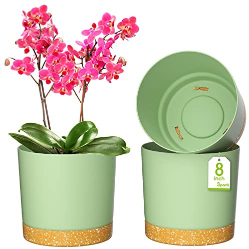 Blumentöpfe (20 cm (3er-Set), Grün)