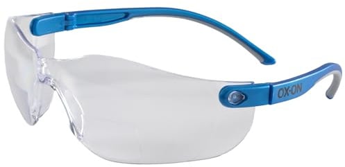Schutzbrille mit Sehstärke +2 Dioptrie Arbeitsbrille Sicherheitsbrille Lesebrille Werksbrille Industriebrille Lesegläser